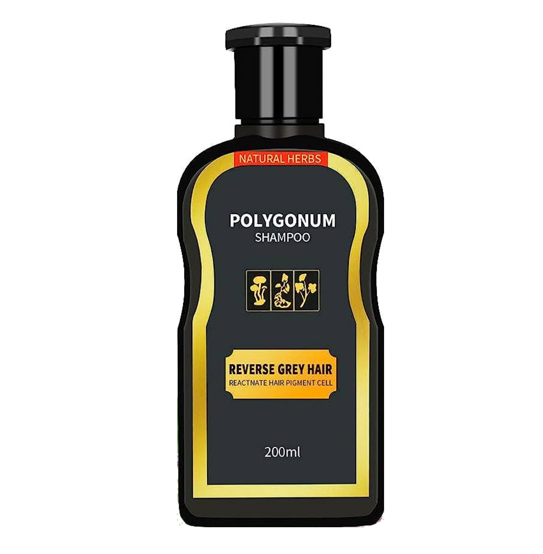 Natural Herbs Polygonum Shampoo 200ml