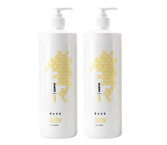 Base Colour Shampoo 1000ml (2pc)