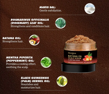Hoegoa Batana Oil Scalp Scrub 100g